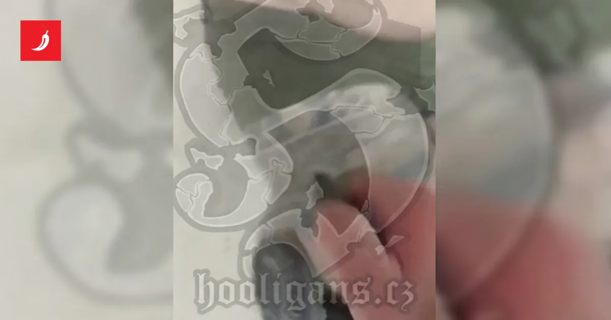 hooligans cz — HR news