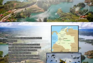 kolumbija — HR news