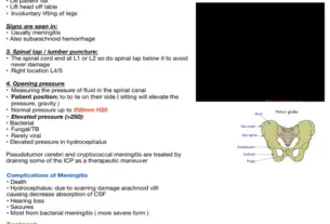 meningitis — HR news