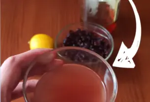 želudac — HR news