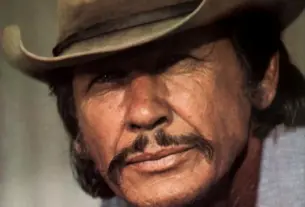 charles bronson — HR news