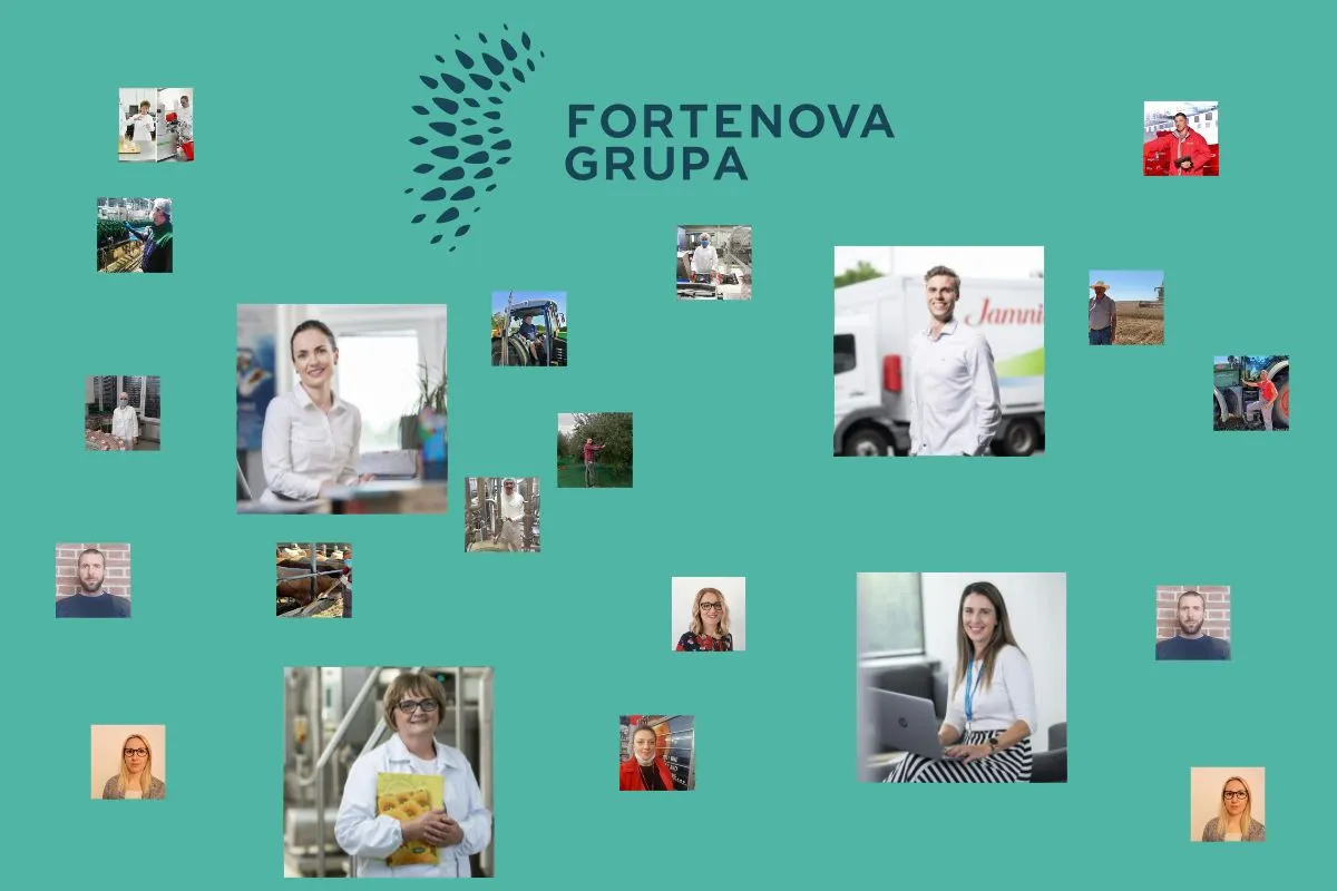 fortenova grupa — HR news