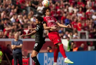 freiburg – bayern — HR news