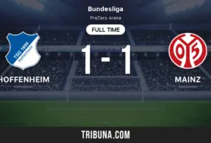 hoffenheim – mainz 05 — HR news