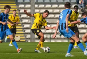 stuttgart – borussia — HR news