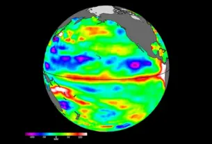 el niño — HR news