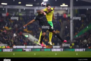 hull city – norwich — HR news