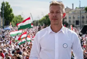 péter magyar — HR news